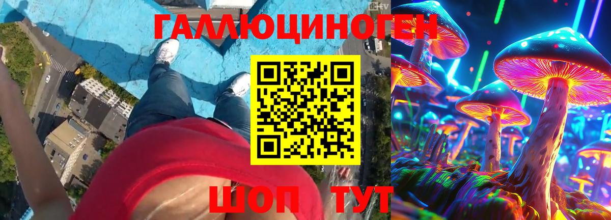 Псилоцибиновые грибы ЛСД Бийск